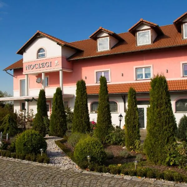 Noclegi Biała Róża，位于Rokitki的酒店