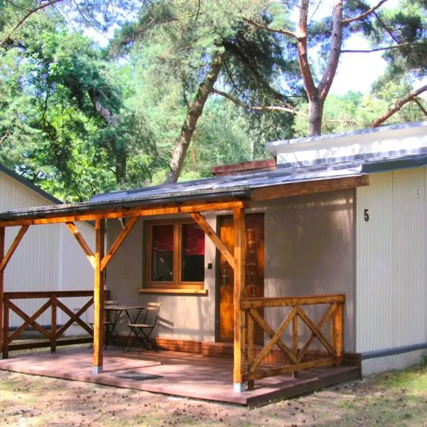 Sosenka Zaniemyśl，位于扎涅梅希尔的酒店