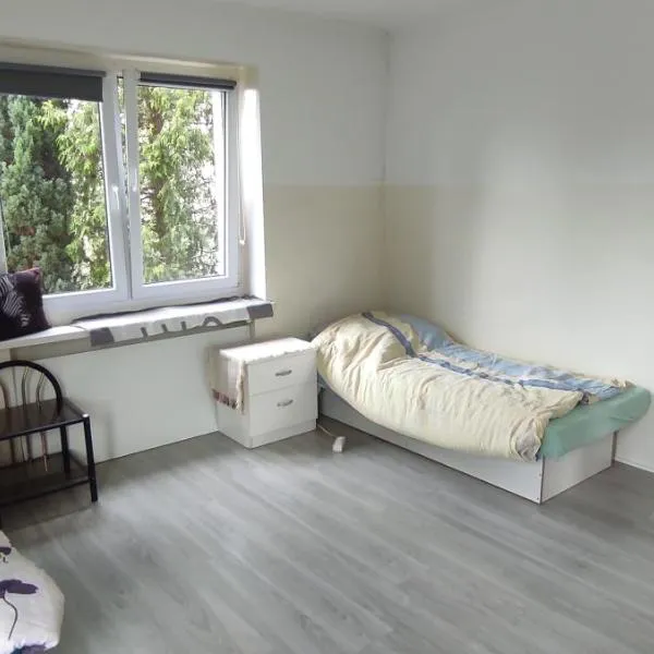 Adam room 1，位于弗罗茨瓦夫的酒店