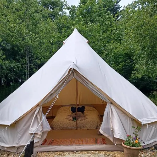 Little Wood bell tent，位于Castlerichard的酒店