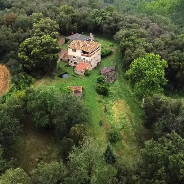 Can Cargol，位于Amer的酒店