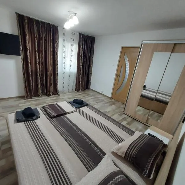 Apartament cu două camere Rădoi，位于Dudaşu的酒店