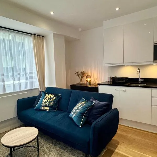 Luxury 2 Bedroom Apartment in Central Croydon with Free Parking，位于克罗伊登的酒店