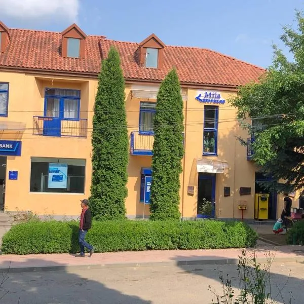Mila Hotel，位于斯捷潘纳万的酒店