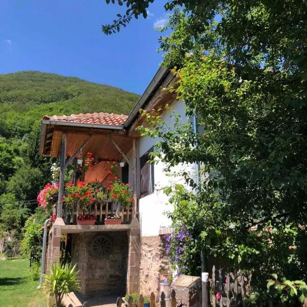 Stara planina, smestaj Ćirković，位于皮罗特的酒店