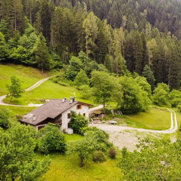 Luxury Chalet Dolomiti-Campiglio-Trentino，位于Porte di Rendena的酒店