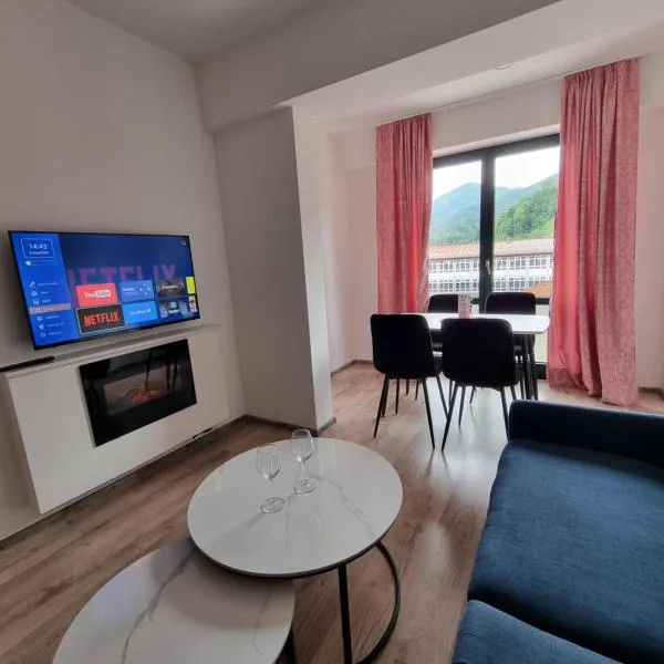 Apartman Rita，位于福伊尼察的酒店