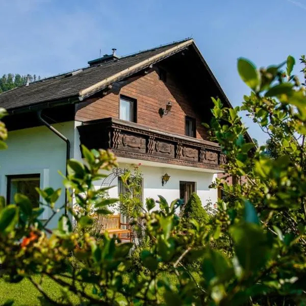 NaturparkResort Haus Geigenkogel，位于圣加伦的酒店