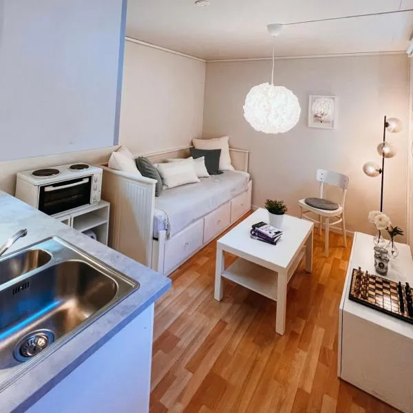 Bright and cozy studio - newly renovated bathroom and free parking，位于Høiset的酒店