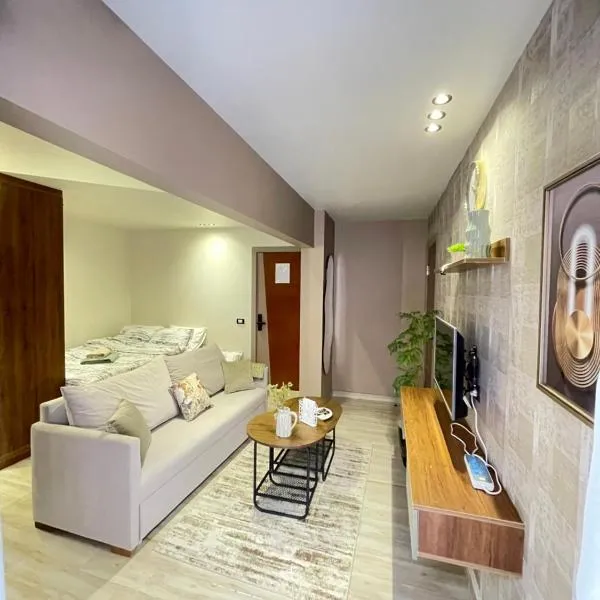 Luxury Studio House 1200-3，位于十月六日城的酒店