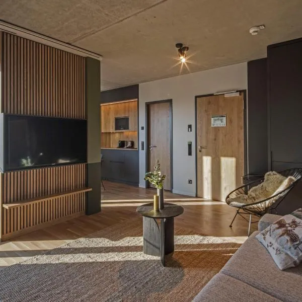 B5 Apartments，位于卡尔斯鲁厄的酒店