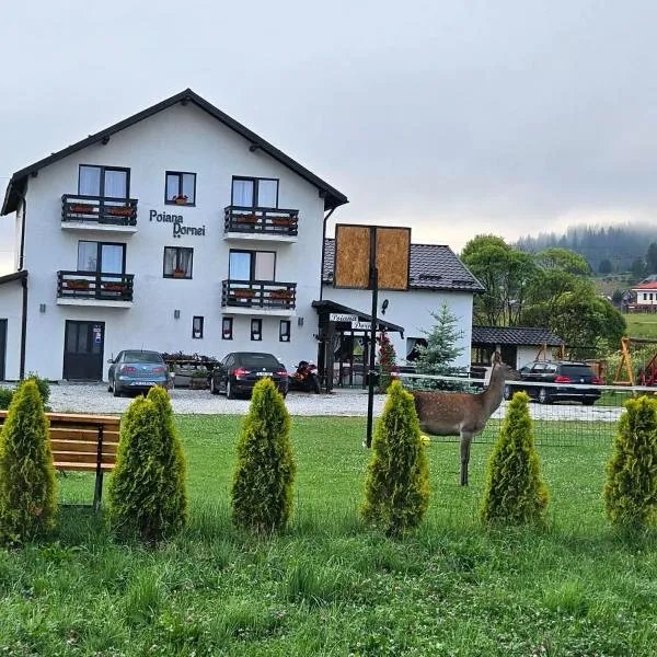 Pensiunea Poiana Dornei，位于瓦特拉多尔内的酒店