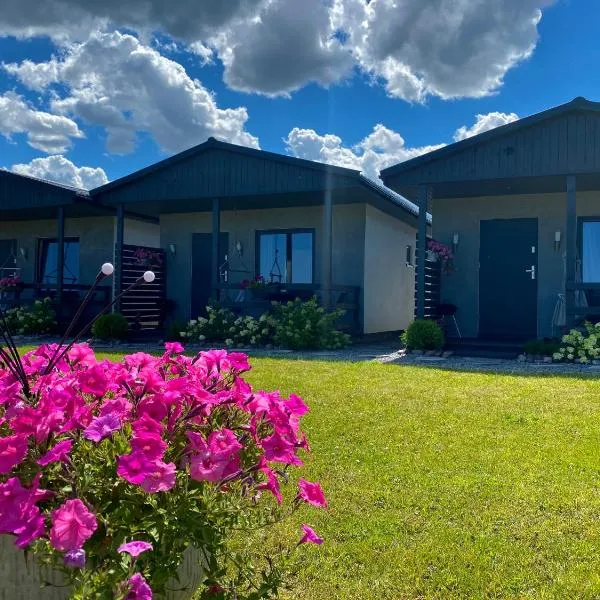 Domki Wczasowe Nidia，位于杰泽扎尼的酒店