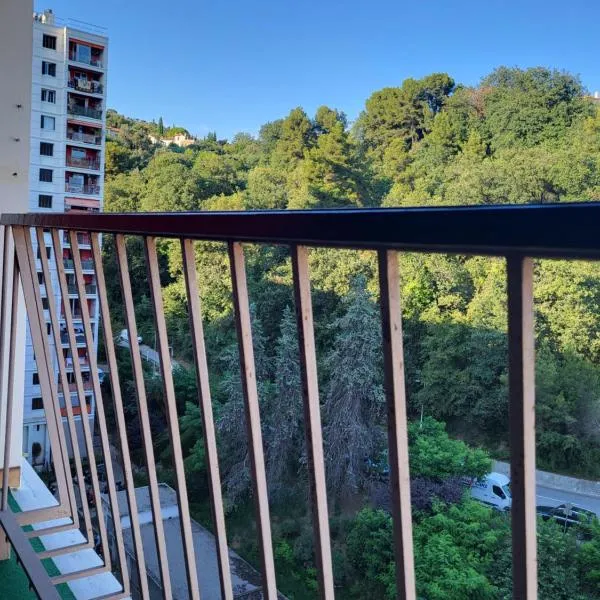 Private Room-2 in HANNANA Apartment- 2 min walk To Tram 12 min to Nice train station 15 min to Massena Place，位于尼斯的酒店