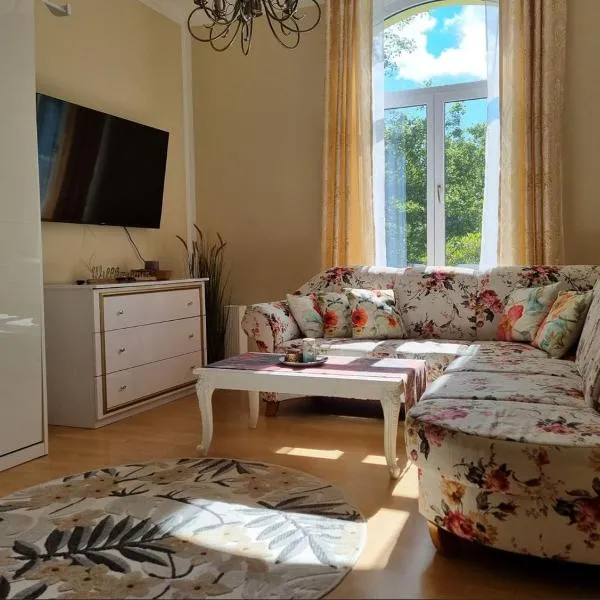 Ferienwohnung Fürst Metternich in Bad Elster，位于巴特埃尔斯特的酒店