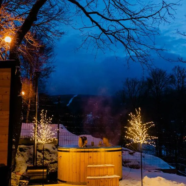 Apartamenty Larice balia, sauna, morsowanie w basenie，位于希维拉杜夫-兹德鲁伊的酒店