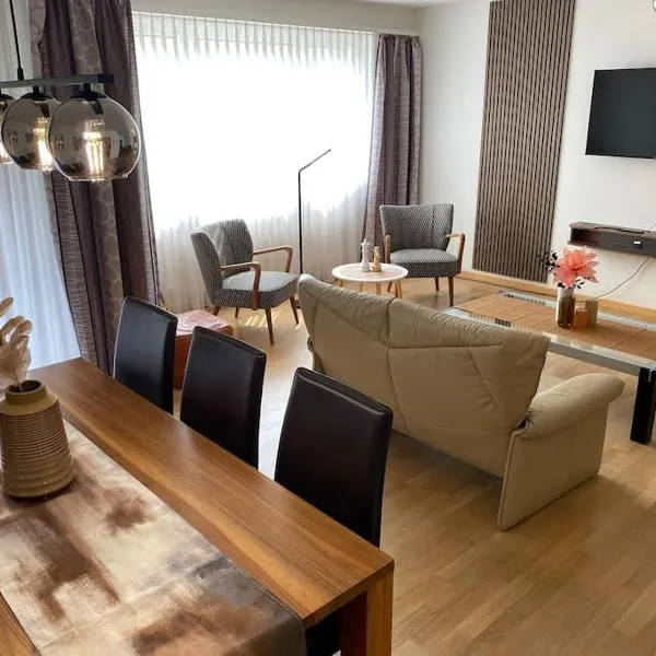 Premium 3 Bedroom Apartment in Central Basel，位于巴塞尔的酒店