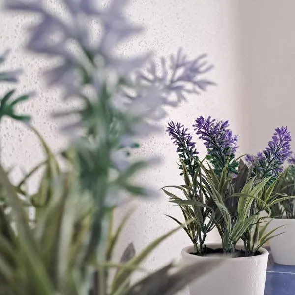 La tappa del vignaiolo Home，位于马莫亚达的酒店