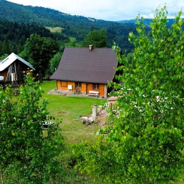 Alpejski Azyl Wisła，位于维斯瓦的酒店