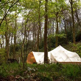 Secret Wood Glamping，位于Holmesfield的酒店