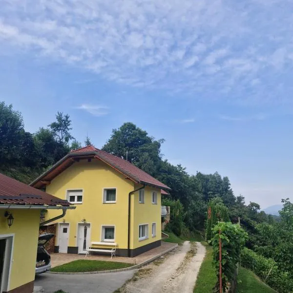 Yellow house Javornik，位于Štore的酒店