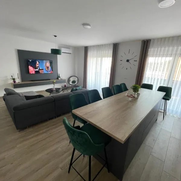 Apartman 100JIĆ，位于Cernik的酒店