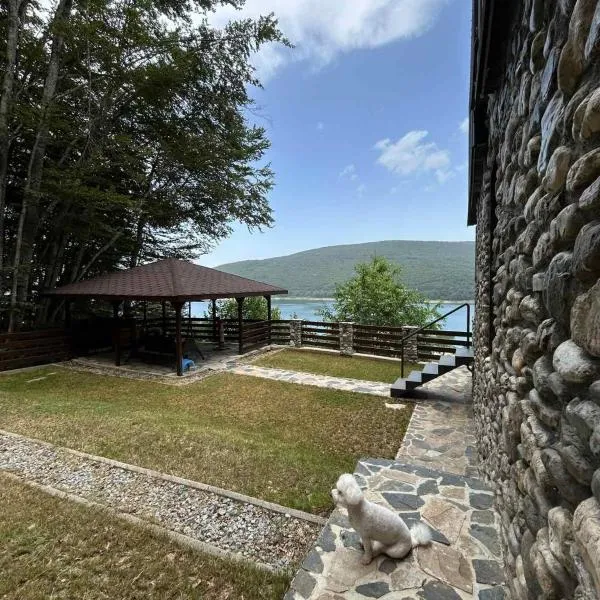 Luxury Villa Silvija Mavrovo，位于马夫罗沃的酒店
