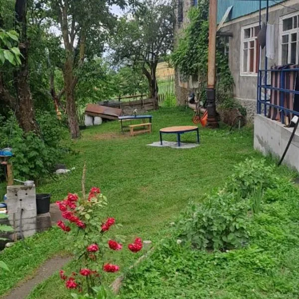 Guesthouse Lizi & Elene，位于梅斯蒂亚的酒店