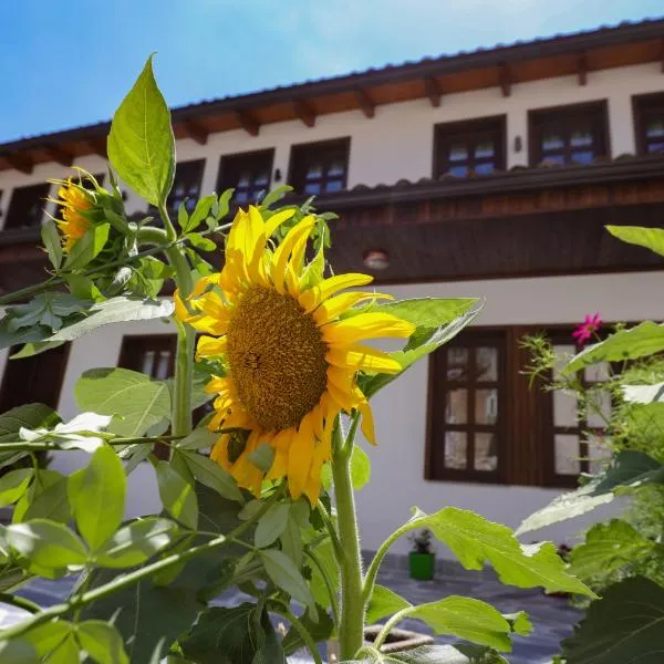 The House of Dollma , Inside Kruja Castle，位于克鲁亚的酒店