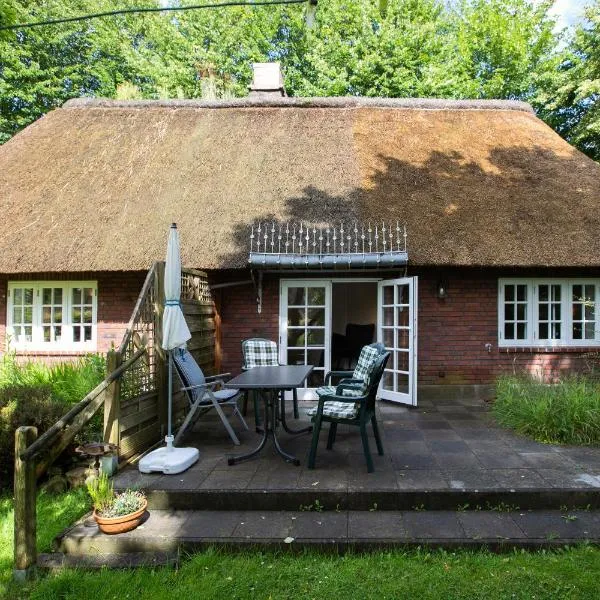 Ferienhaus Reetkate Breklum，位于Breklum的酒店