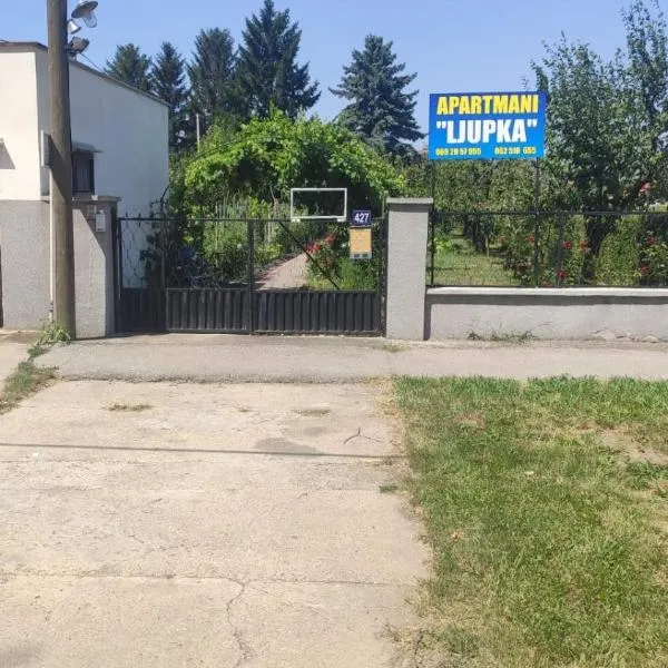 Apartment Ljupka，位于Novi Vladimirovac的酒店