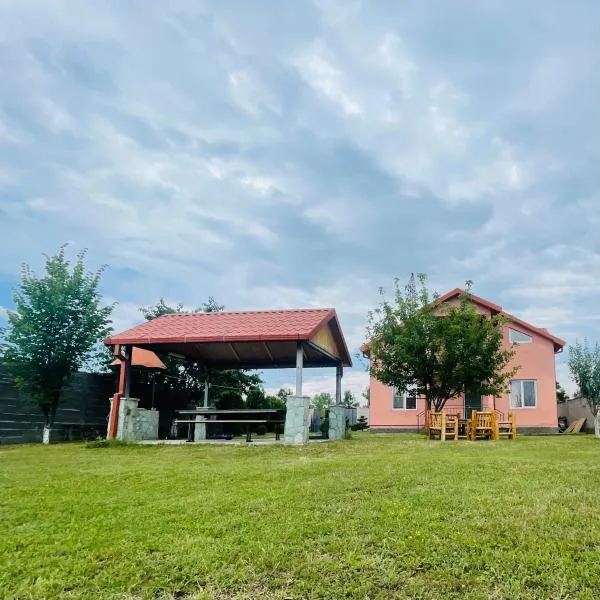 Bazaleti lake home，位于Bazalet'i的酒店