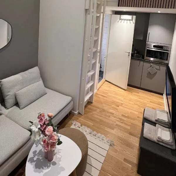 Studio apartment，位于Marifjora的酒店