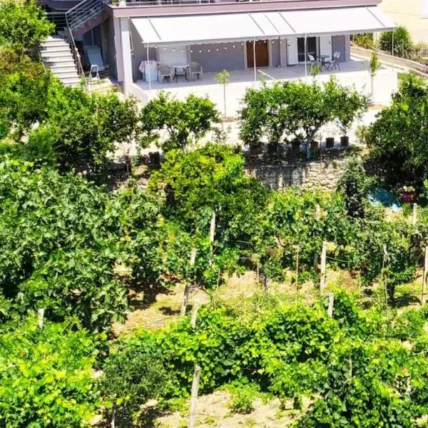 Toma's Guest House，位于萨兰达的酒店