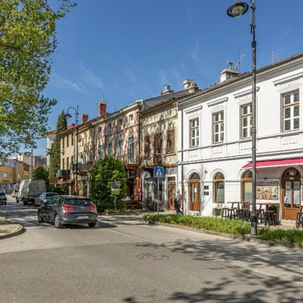 Apartmani Leo centar，位于茨里克韦尼察的酒店