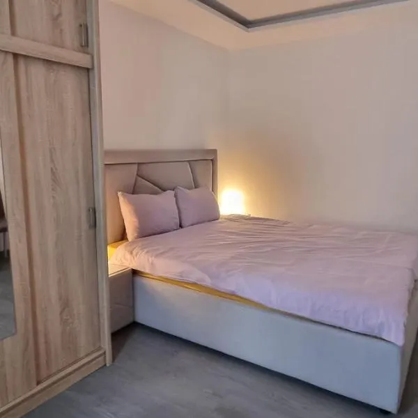 1 Room Apartment Plopeni，位于Plopeni的酒店