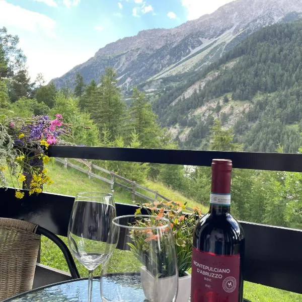 Casa Vacanze Cesana，位于切萨纳·都灵尼斯的酒店
