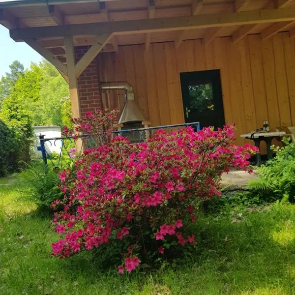 Waldbadhäusel Naturbad-Bungalow，位于Neuwiese的酒店