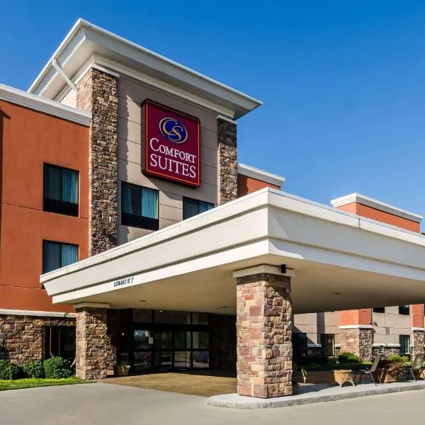 Comfort Suites，位于Gothenburg的酒店