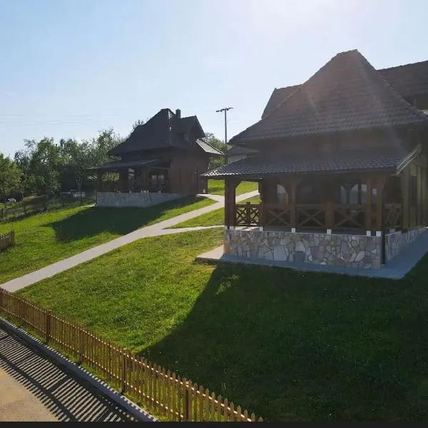 Seoski turizam Domaćinstvo Tošanić，位于Žigale的酒店