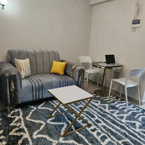 City haven Accommodation by Jeyem-Studio B14-kileleshwa，位于内罗毕的酒店
