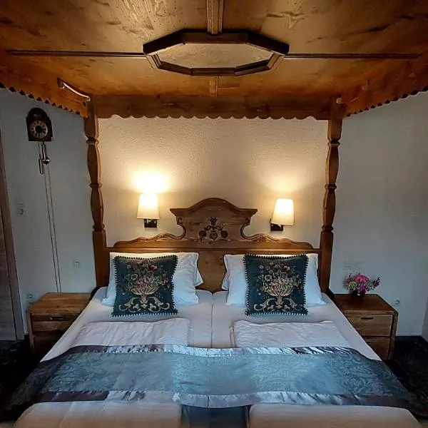 Hotel Kirchbühl im Schwarzwald Hôtel，位于黑林山区舍瑙的酒店