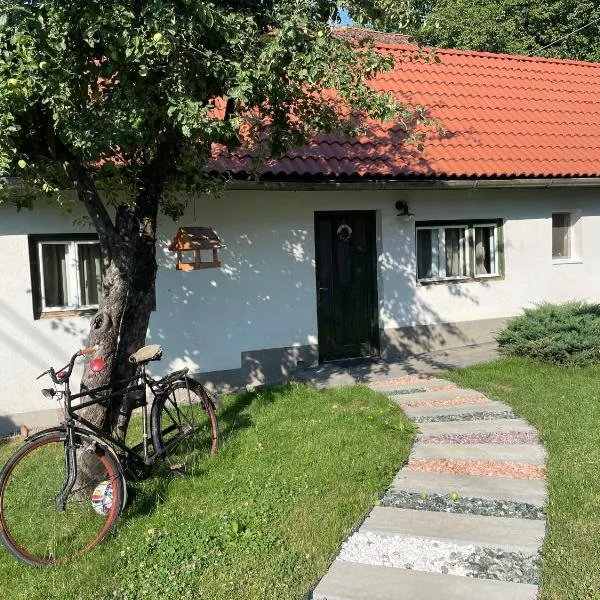 Léda Guesthouse 1 Szentegyháza，位于弗勒希察的酒店