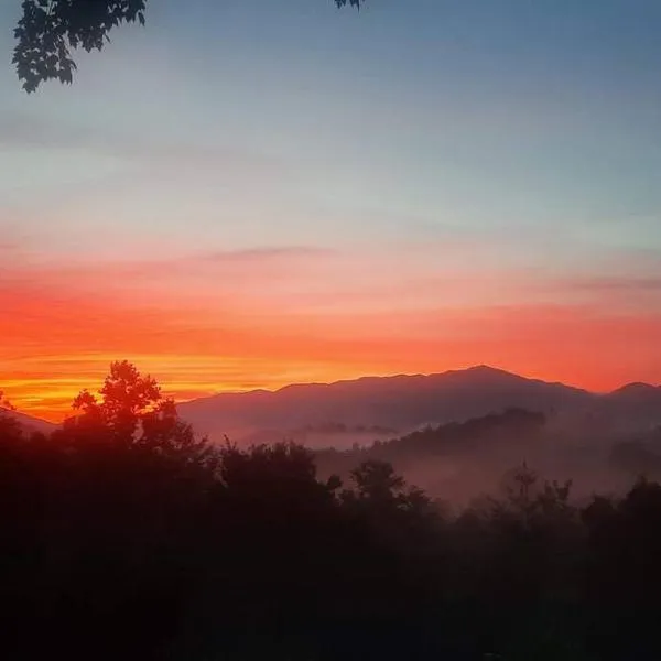 Secluded Sunrise，位于Andrews的酒店