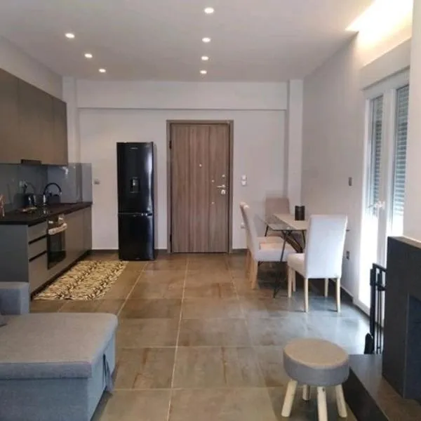 Central Cozy Apartment Patras，位于帕特雷的酒店