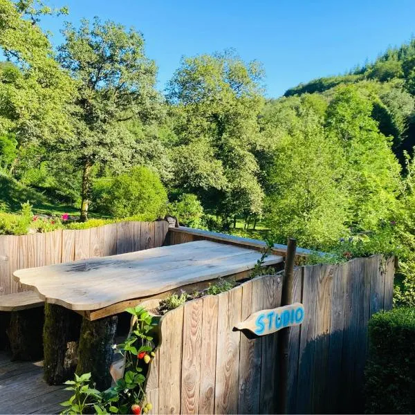 Studio aux Sources de la Chabanne，位于Saint-Hilaire-les-Courbes的酒店