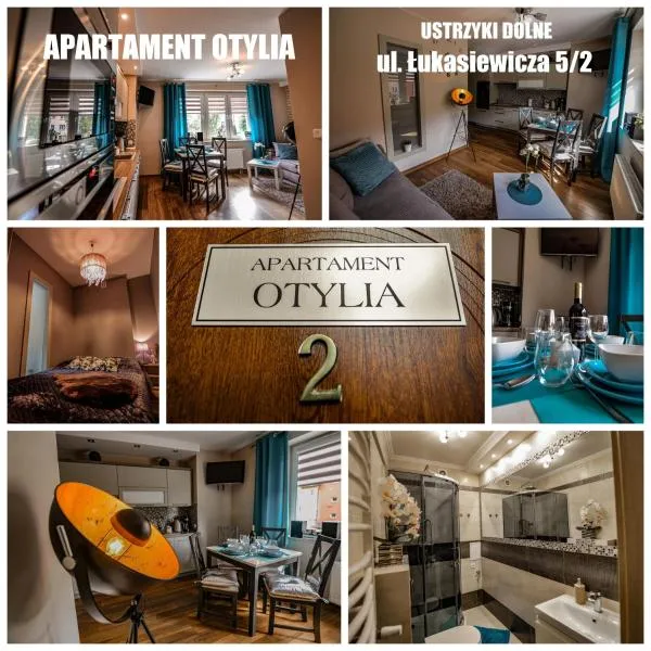 APARTAMENT OTYLIA，位于下乌斯奇基的酒店