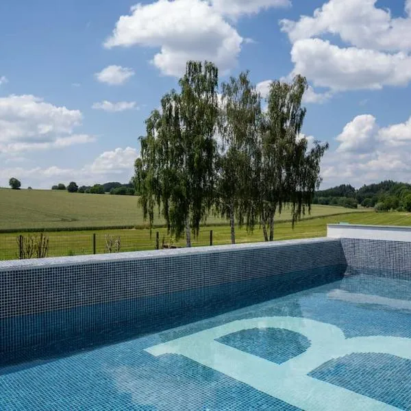 Luxury Loft with Pool close to Munich 130qm，位于Petershausen的酒店