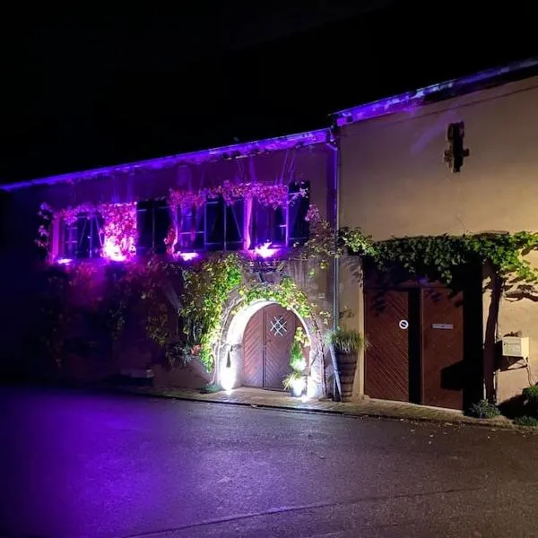 Gîte le Chaudron，位于Pfaffenheim的酒店