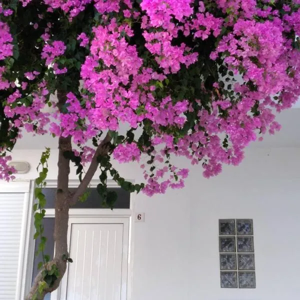 玛丽亚公寓酒店，位于哈拉奇的酒店